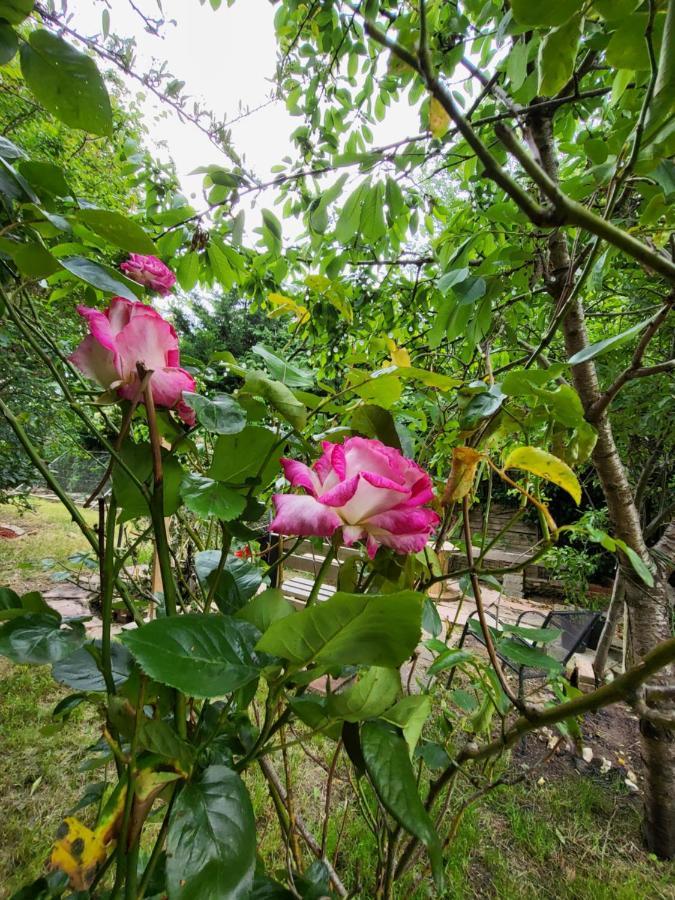 The Apple And Plum Cottage Studio Apartment New Reading Buitenkant foto